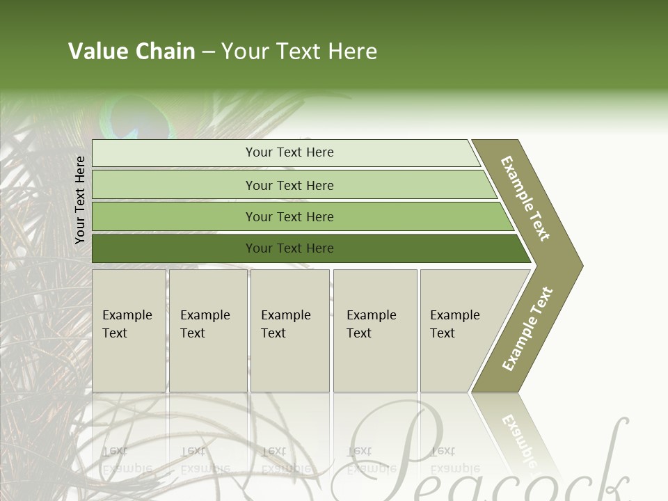 Green Tail Male PowerPoint Template