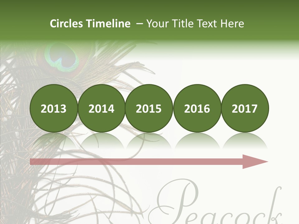 Green Tail Male PowerPoint Template