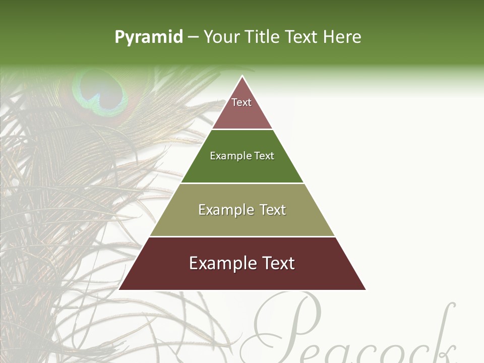 Green Tail Male PowerPoint Template