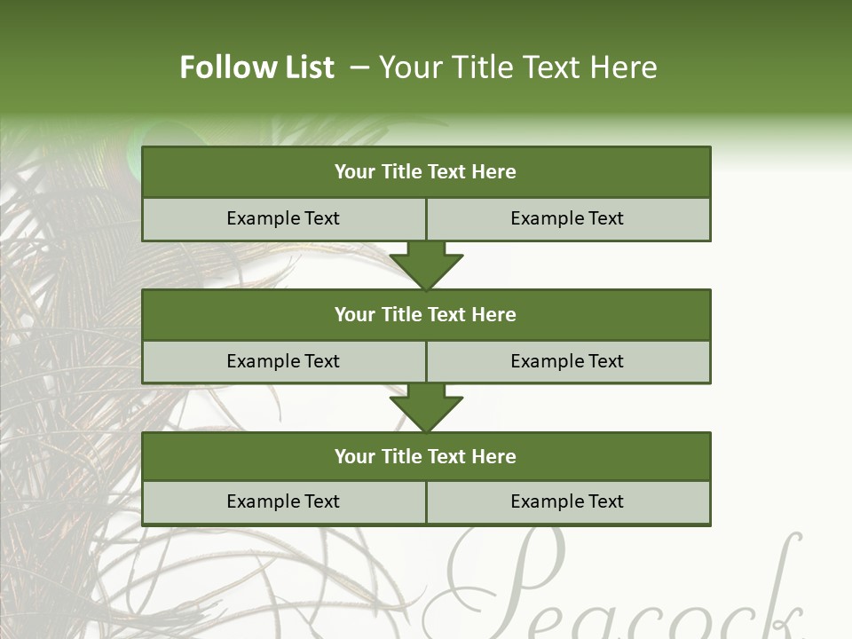 Green Tail Male PowerPoint Template