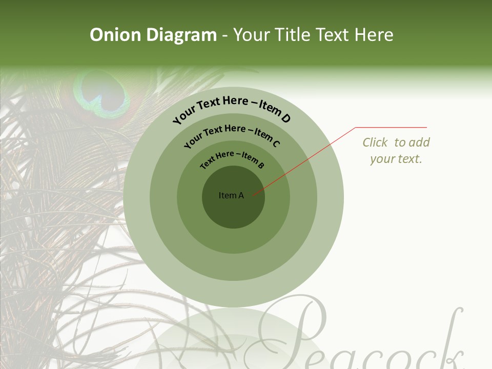 Green Tail Male PowerPoint Template