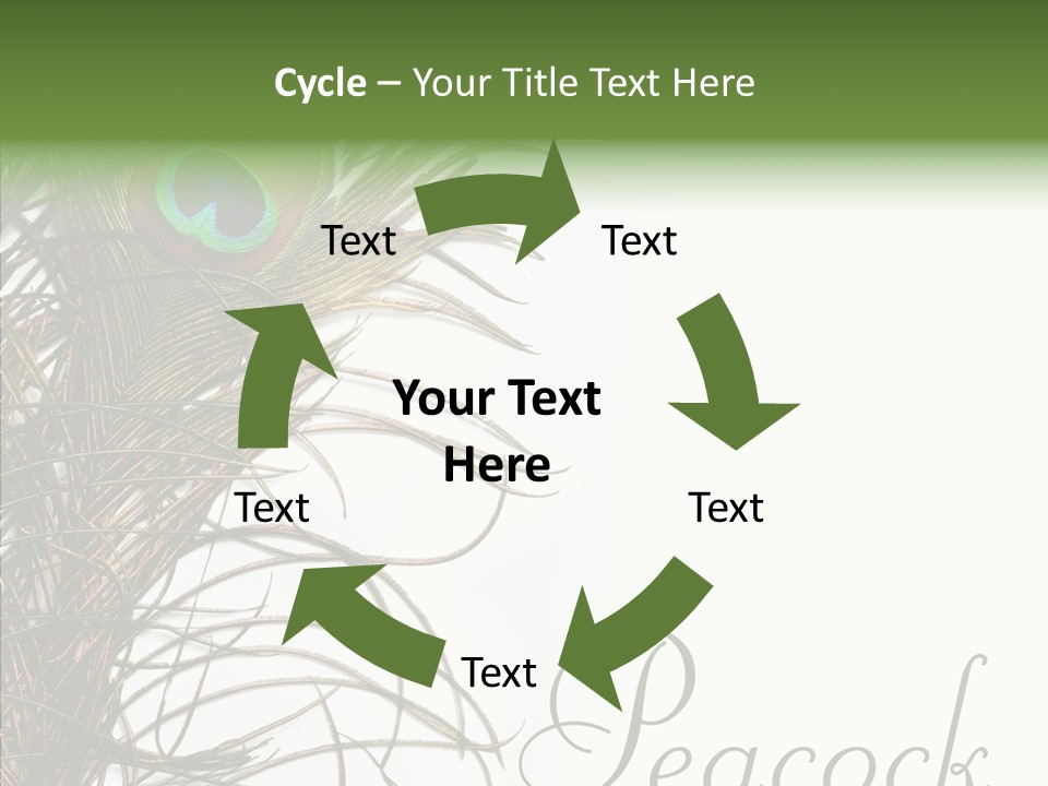 Green Tail Male PowerPoint Template