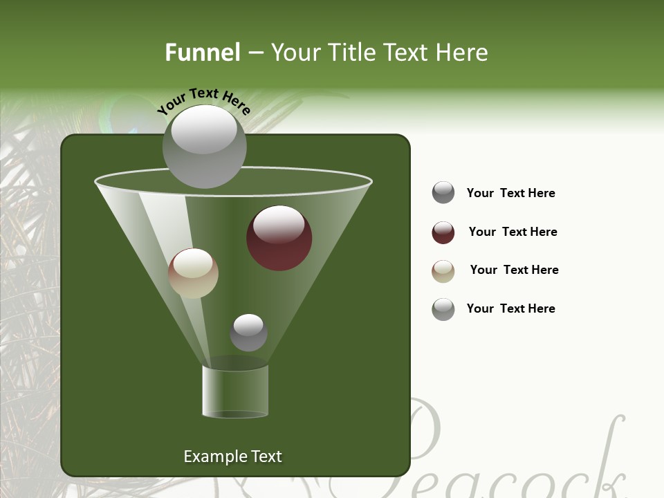Green Tail Male PowerPoint Template