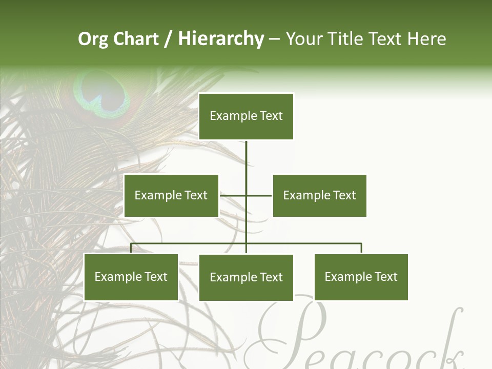 Green Tail Male PowerPoint Template