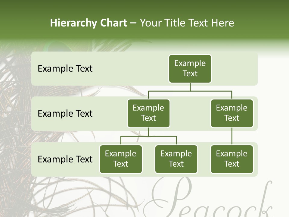 Green Tail Male PowerPoint Template