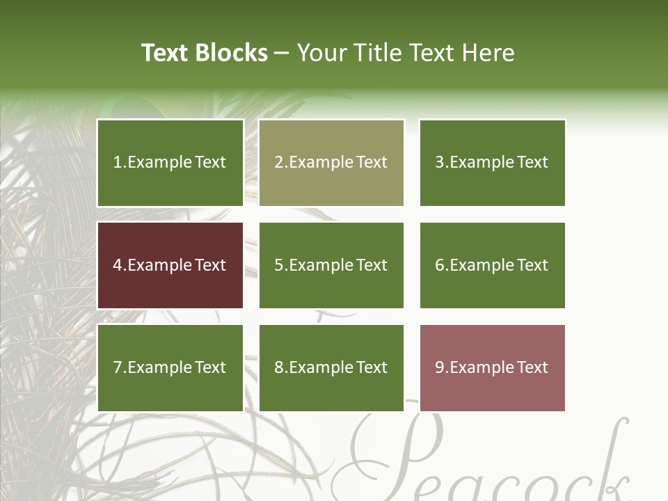 Green Tail Male PowerPoint Template