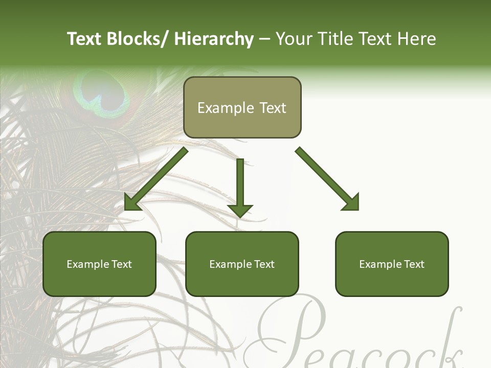 Green Tail Male PowerPoint Template