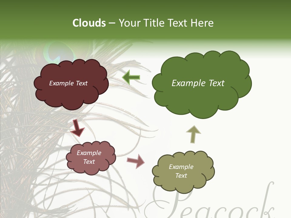 Green Tail Male PowerPoint Template