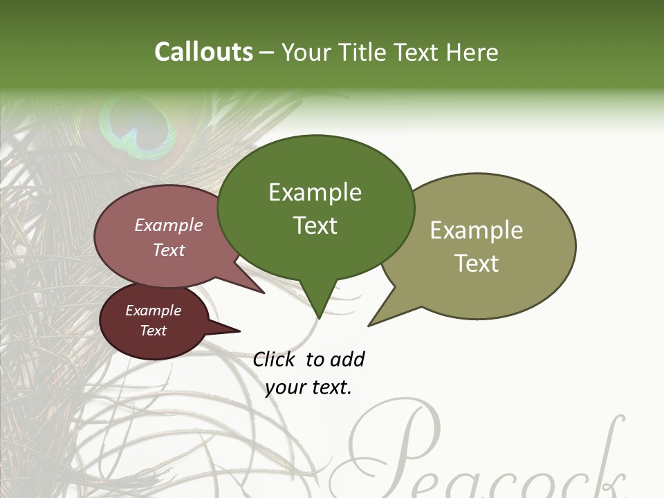 Green Tail Male PowerPoint Template