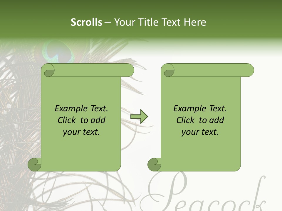 Green Tail Male PowerPoint Template