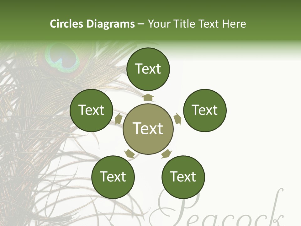 Green Tail Male PowerPoint Template