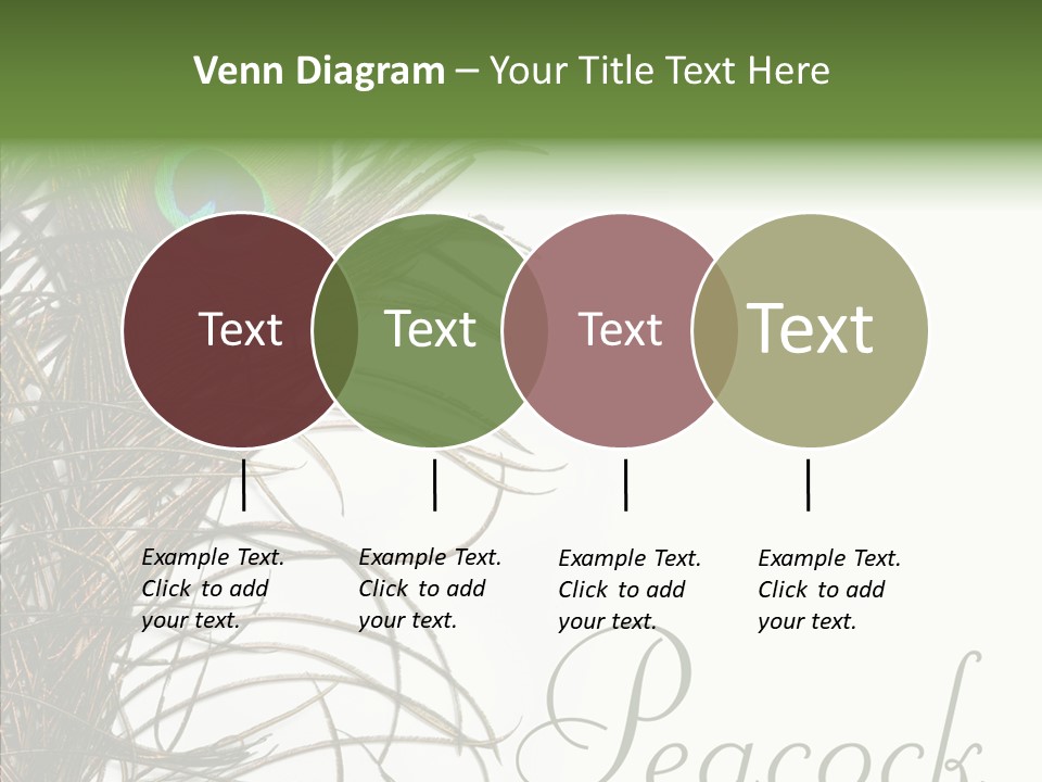 Green Tail Male PowerPoint Template