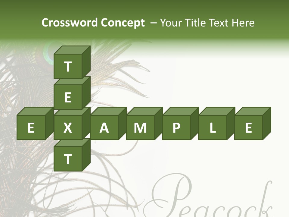 Green Tail Male PowerPoint Template