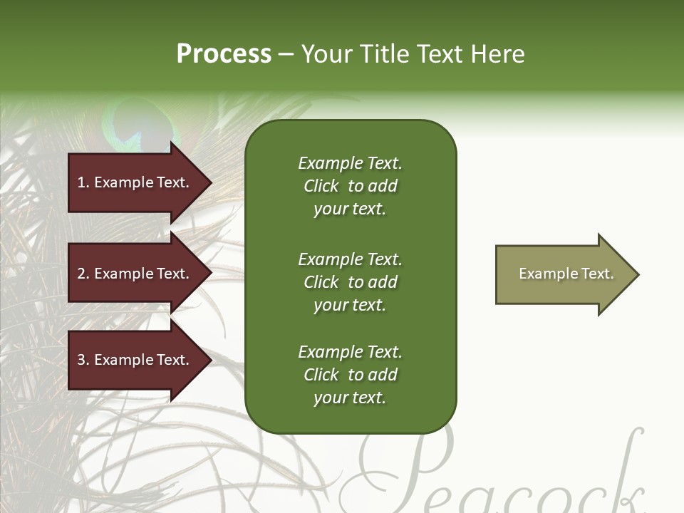 Green Tail Male PowerPoint Template
