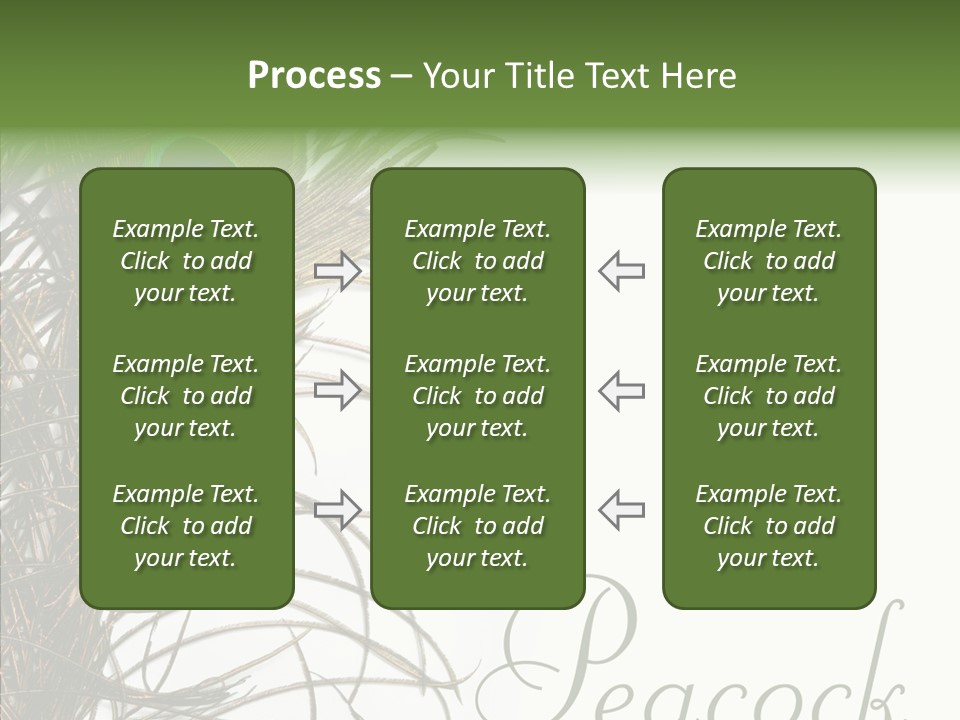 Green Tail Male PowerPoint Template