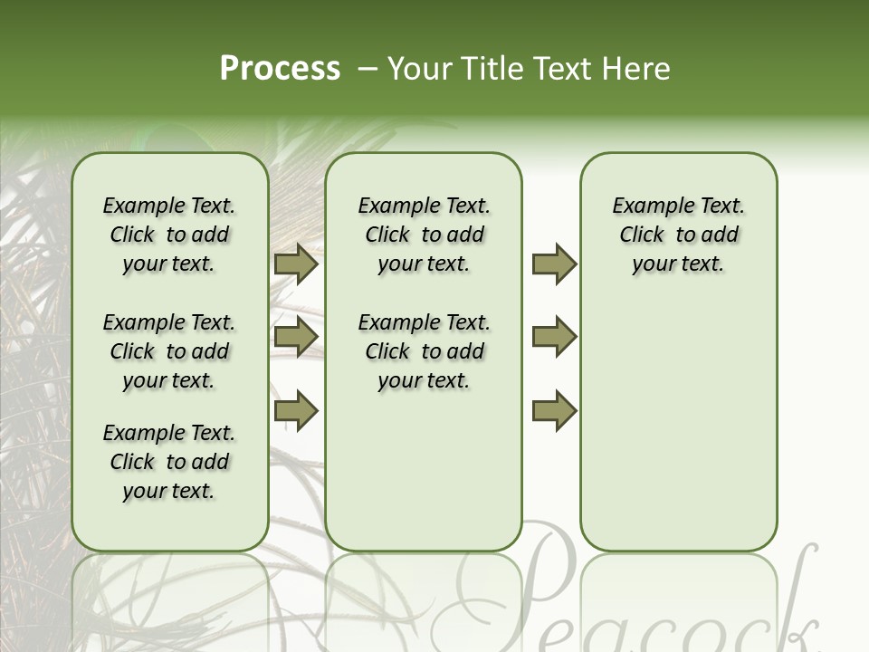 Green Tail Male PowerPoint Template
