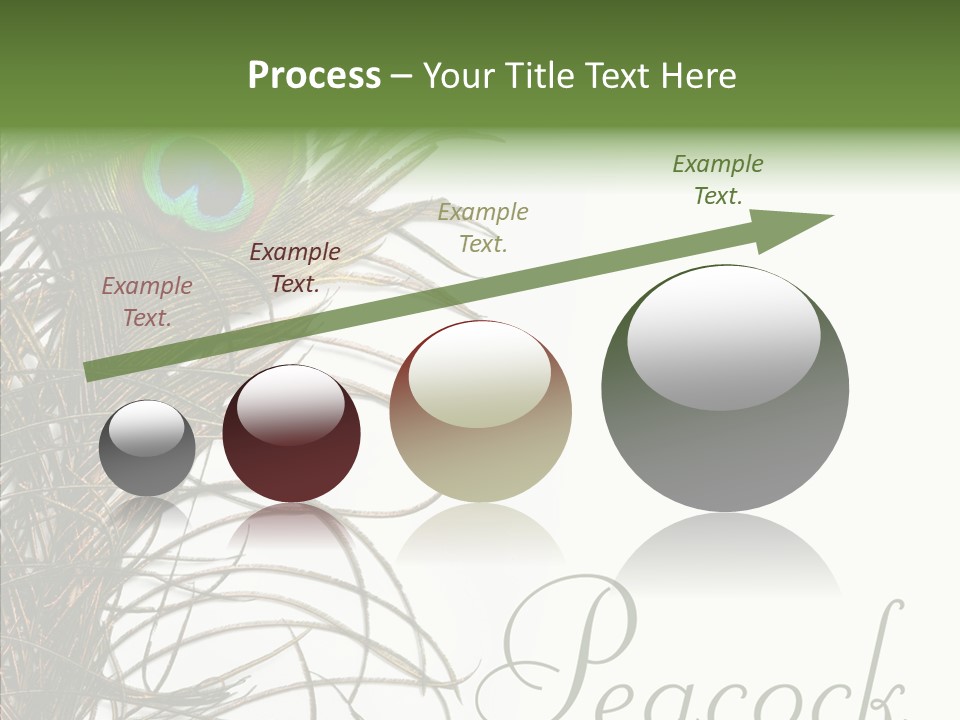 Green Tail Male PowerPoint Template