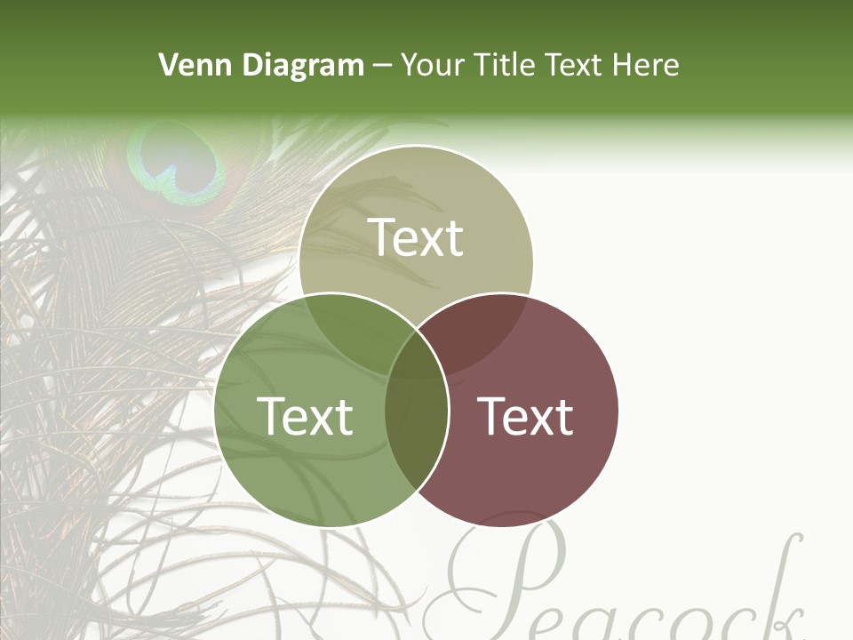 Green Tail Male PowerPoint Template