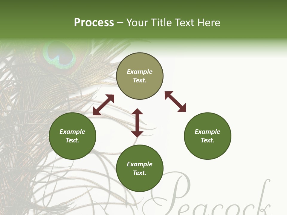 Green Tail Male PowerPoint Template