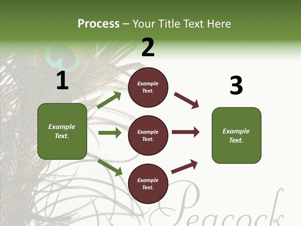 Green Tail Male PowerPoint Template