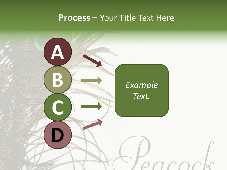 Green Tail Male PowerPoint Template