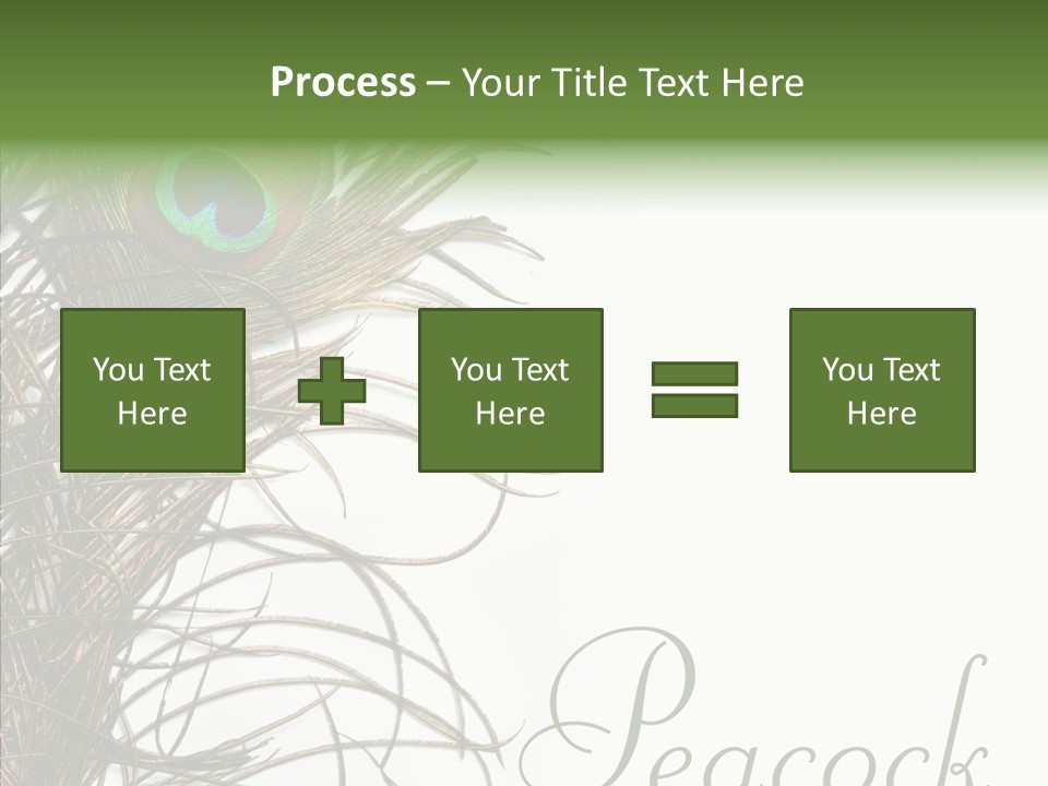 Green Tail Male PowerPoint Template