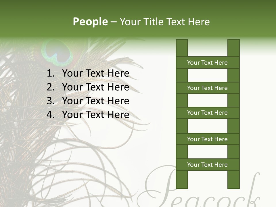 Green Tail Male PowerPoint Template
