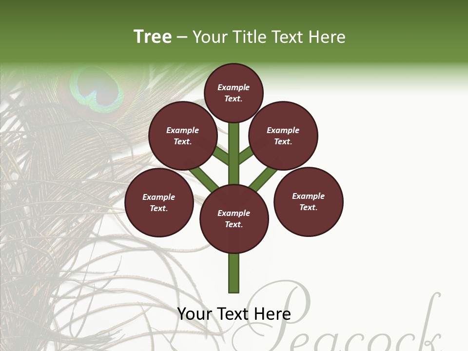 Green Tail Male PowerPoint Template