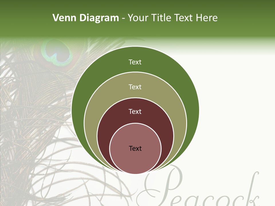 Green Tail Male PowerPoint Template