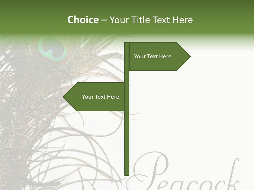 Green Tail Male PowerPoint Template