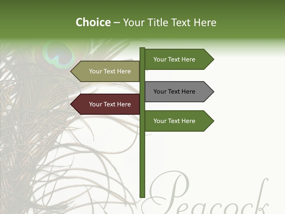 Green Tail Male PowerPoint Template