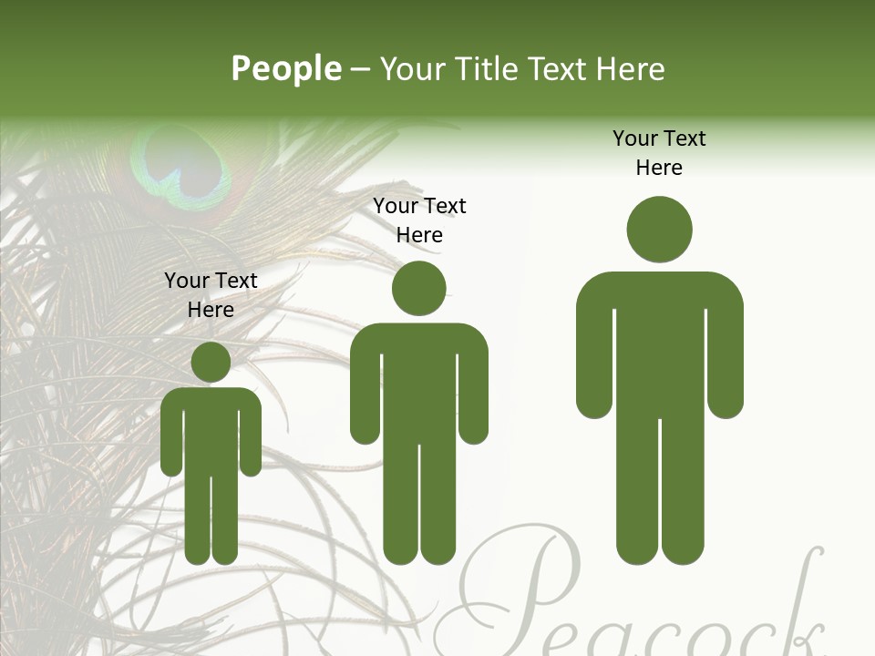 Green Tail Male PowerPoint Template
