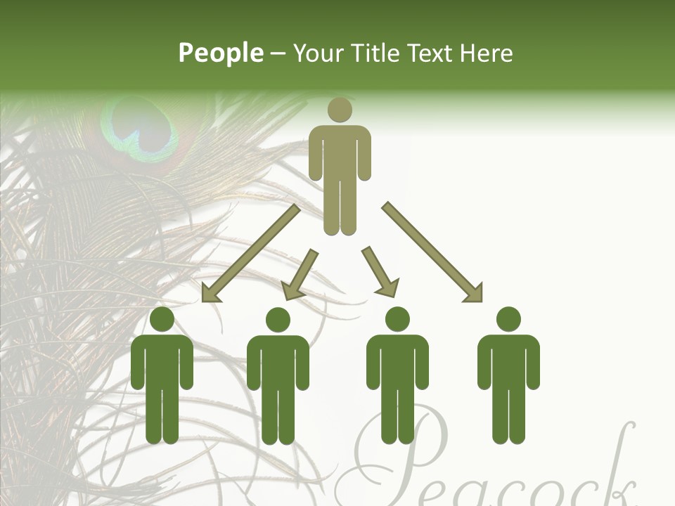Green Tail Male PowerPoint Template