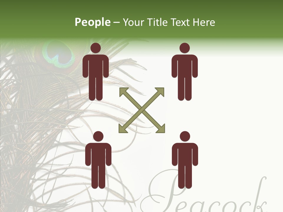 Green Tail Male PowerPoint Template