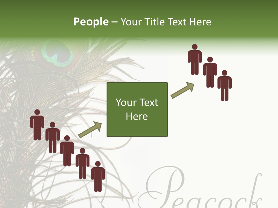 Green Tail Male PowerPoint Template