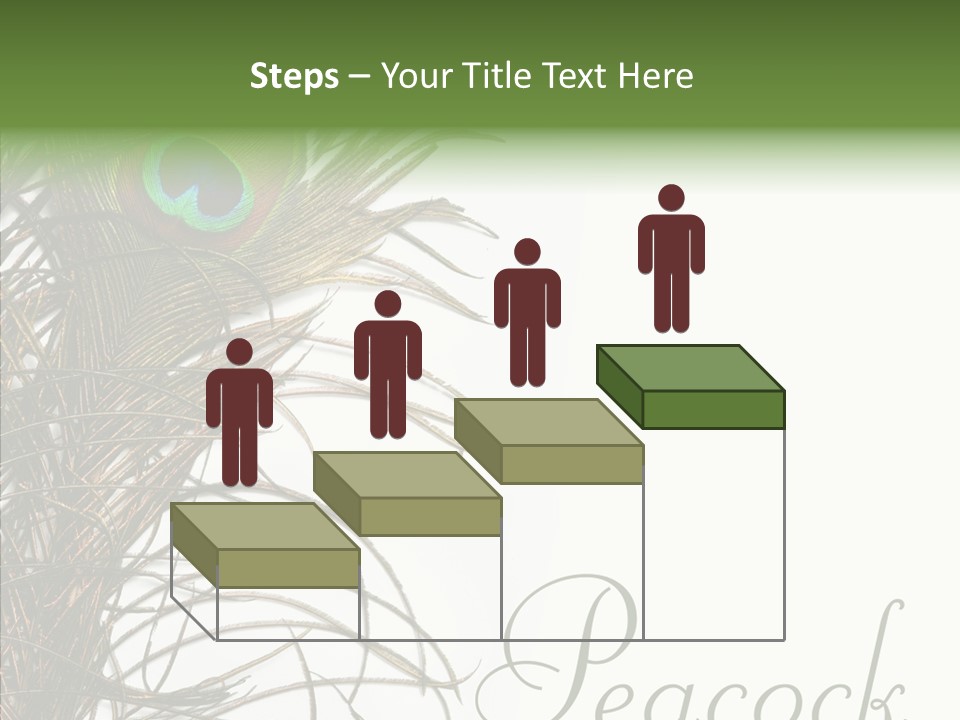 Green Tail Male PowerPoint Template