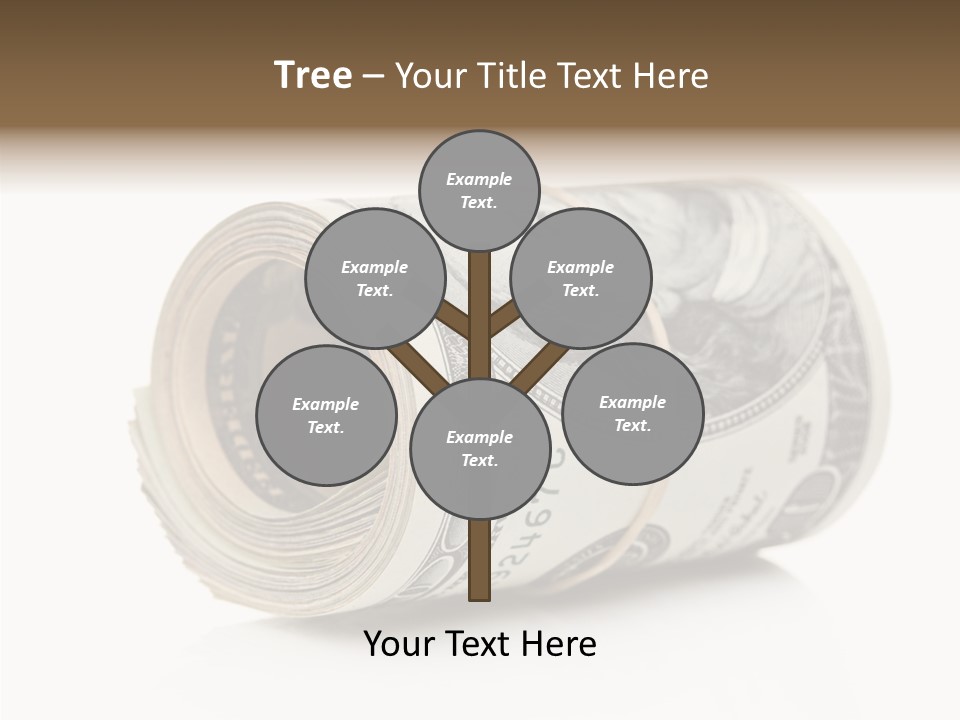 Detail Cash Bundle PowerPoint Template