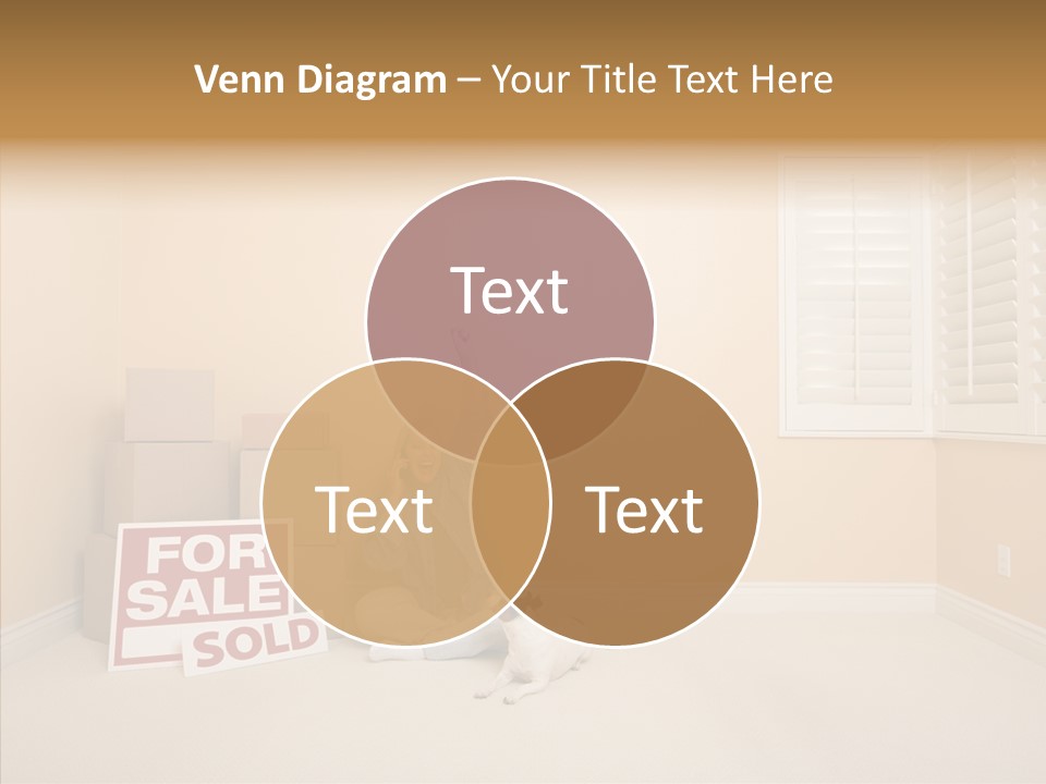Inside Moving Boxes PowerPoint Template