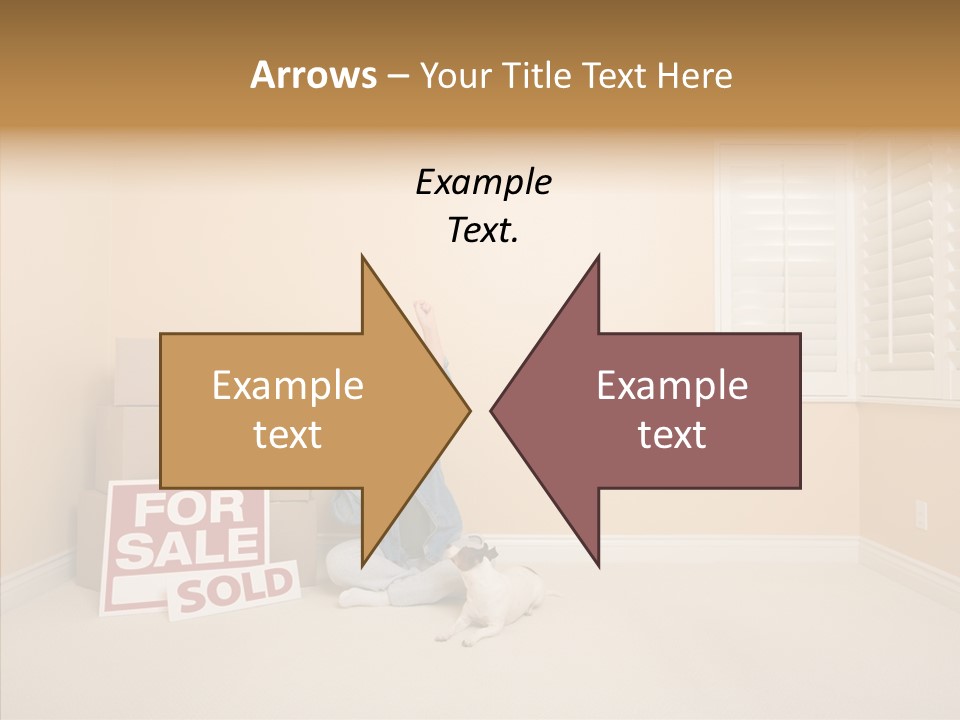 Inside Moving Boxes PowerPoint Template