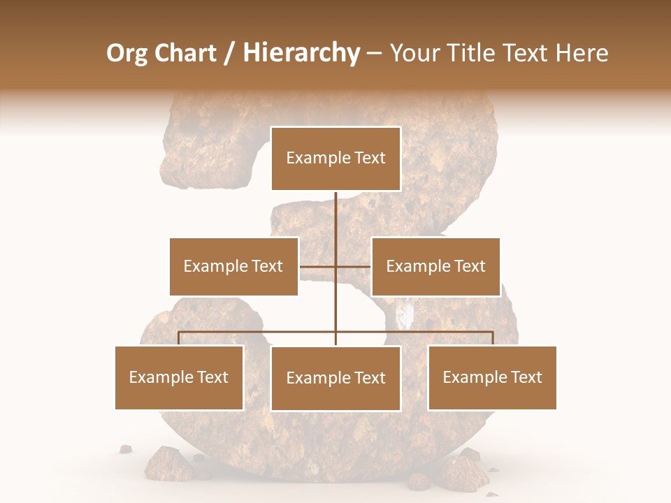 Education Background One PowerPoint Template
