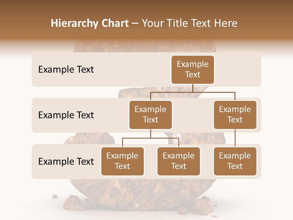 Education Background One PowerPoint Template