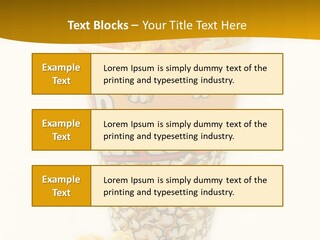 Show Box Butter PowerPoint Template