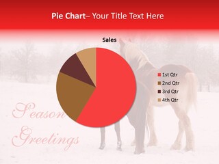 Looking For Santa Two Horses Small Horse PowerPoint Template