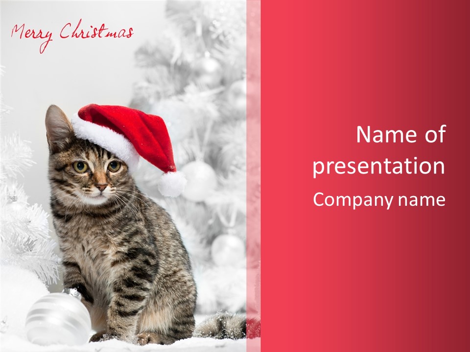 Postcard Kitty White PowerPoint Template