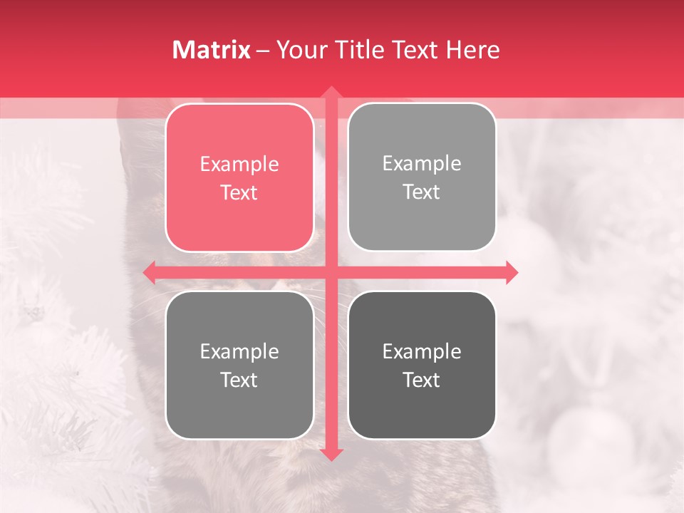 Postcard Kitty White PowerPoint Template