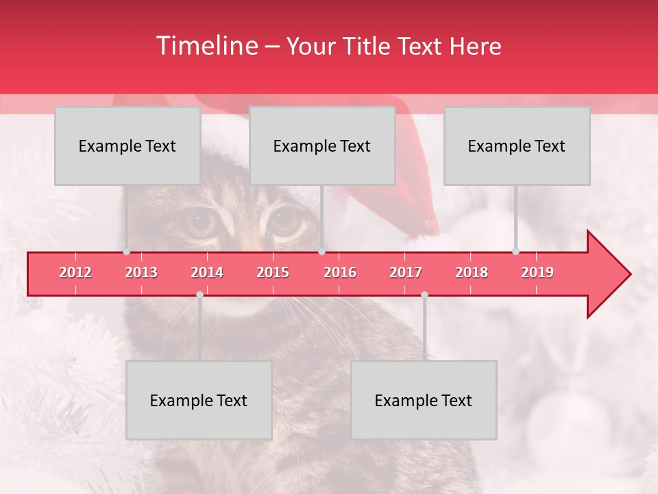 Postcard Kitty White PowerPoint Template