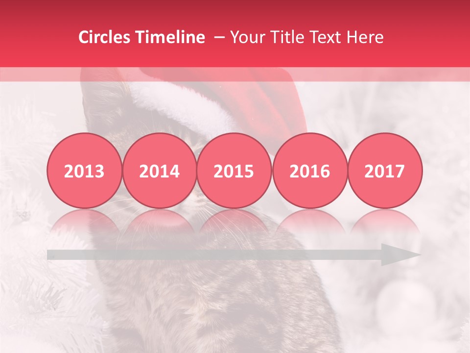 Postcard Kitty White PowerPoint Template