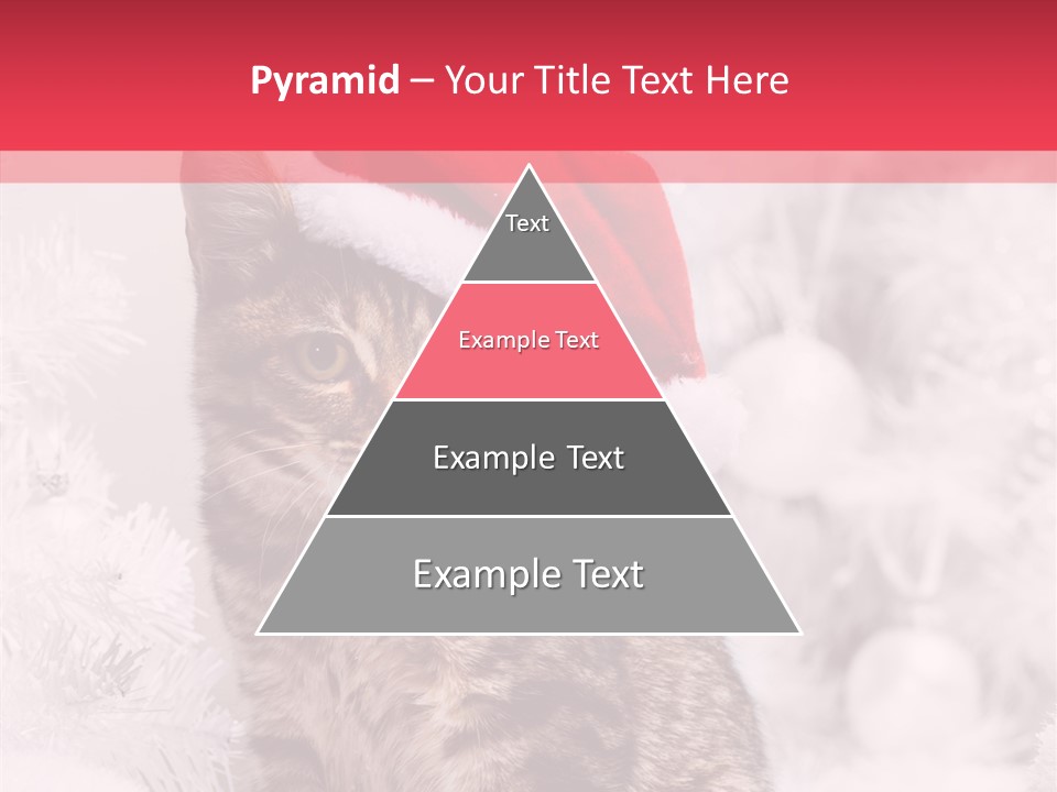 Postcard Kitty White PowerPoint Template