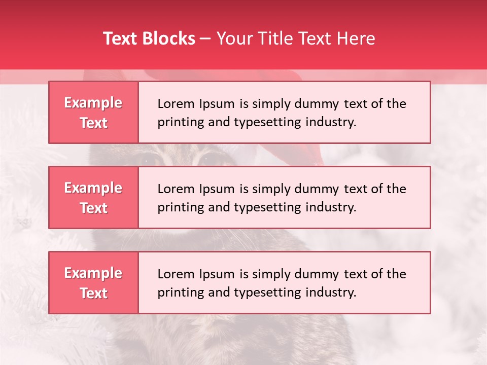 Postcard Kitty White PowerPoint Template