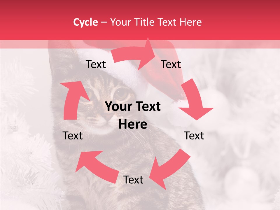 Postcard Kitty White PowerPoint Template